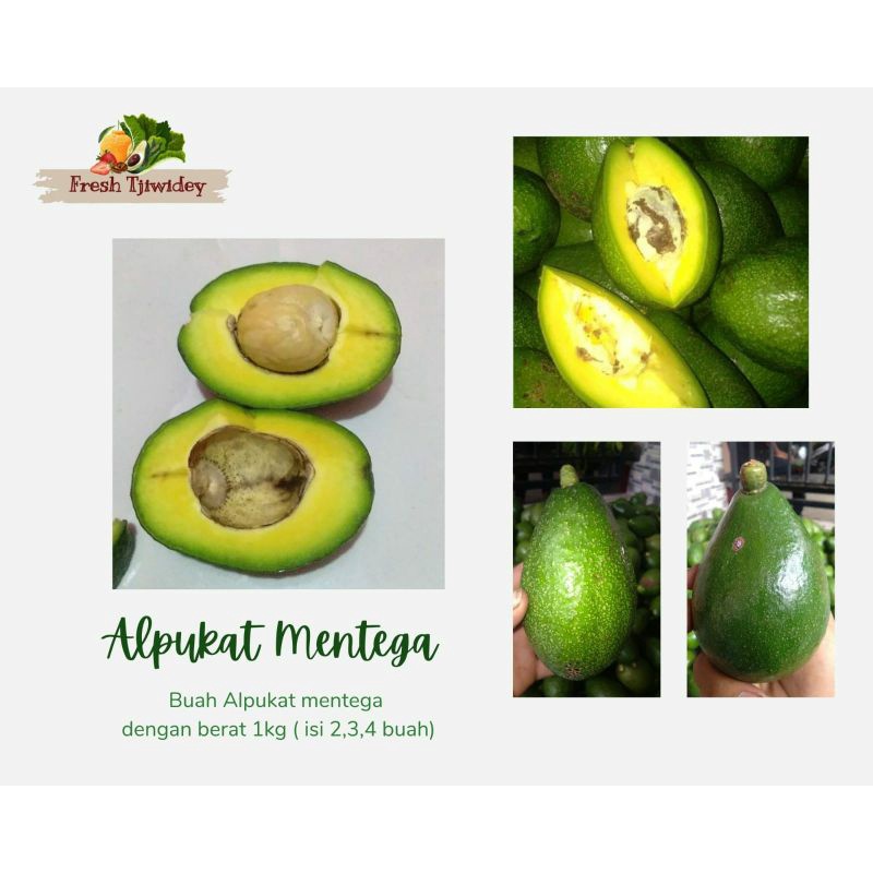Jual alpukat beku Harga Terbaik - Makanan Segar u0026 Beku Makanan 