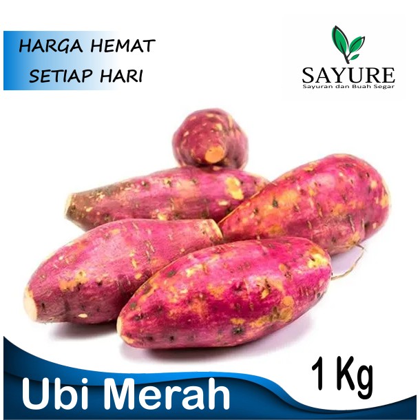 

UBI MERAH MANIS 1 KG