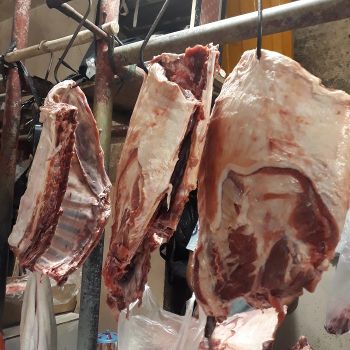 

Iga Kambing Muda Fresh Segar