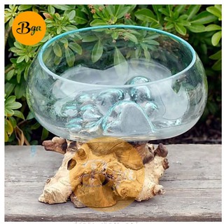 Aquarium akar kayu kaca akar ember bak mangkuk piring Aquarium akar kayu kaca akar ember bak mangkuk piring