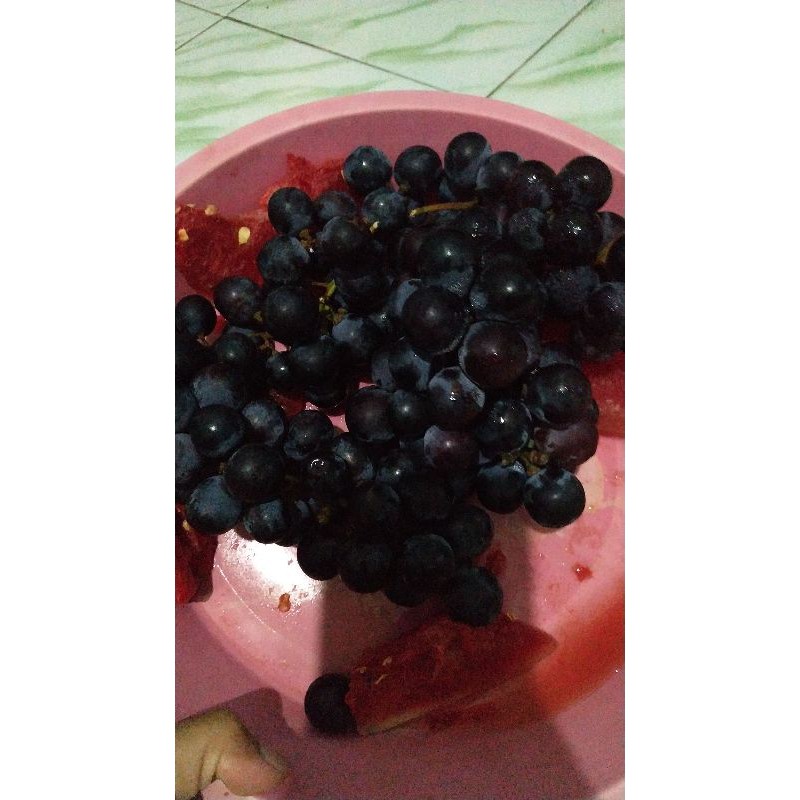 cutting anggur alfonso 1 kg