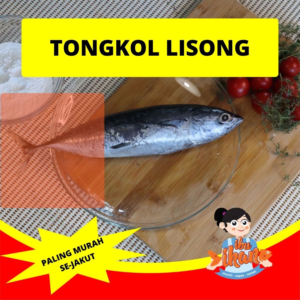 

IKAN TONGKOL SEGAR 1 KG LAUT MIRIP BABY TUNA BELUM DI POTONG IRIS SISIK