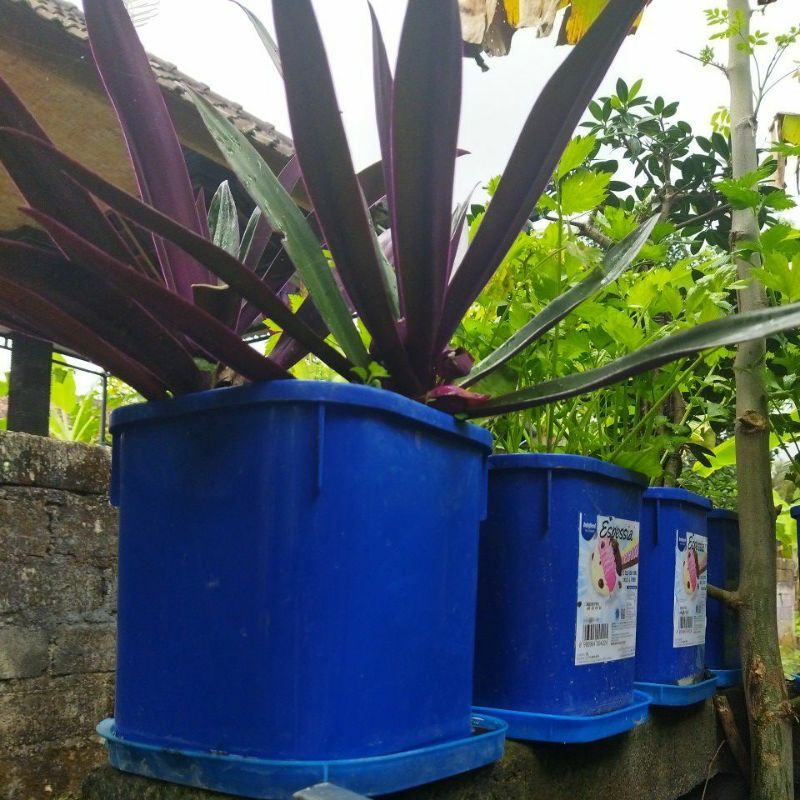 ember ice cream 8liter