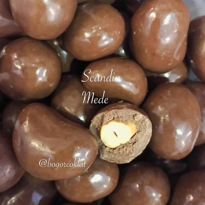 

COKLAT SCANDIA MEDE 500GR