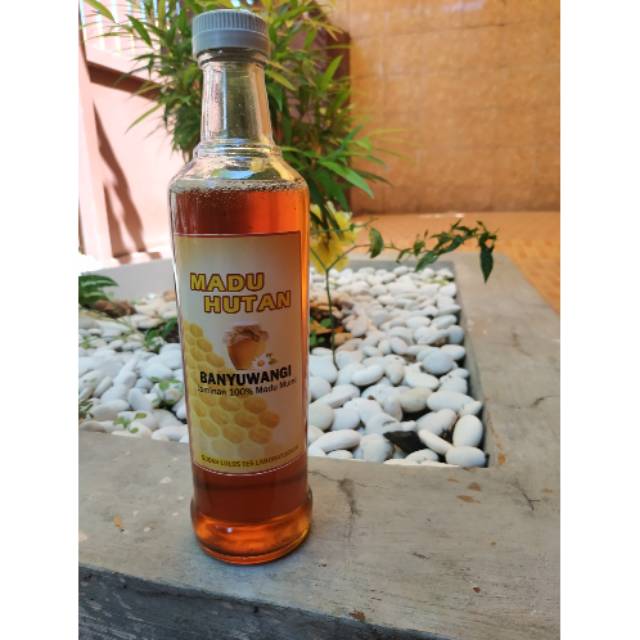 

Madu Hutan Banyuwangi