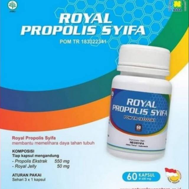 HABATUSSAUDAH. JINTAN NASA