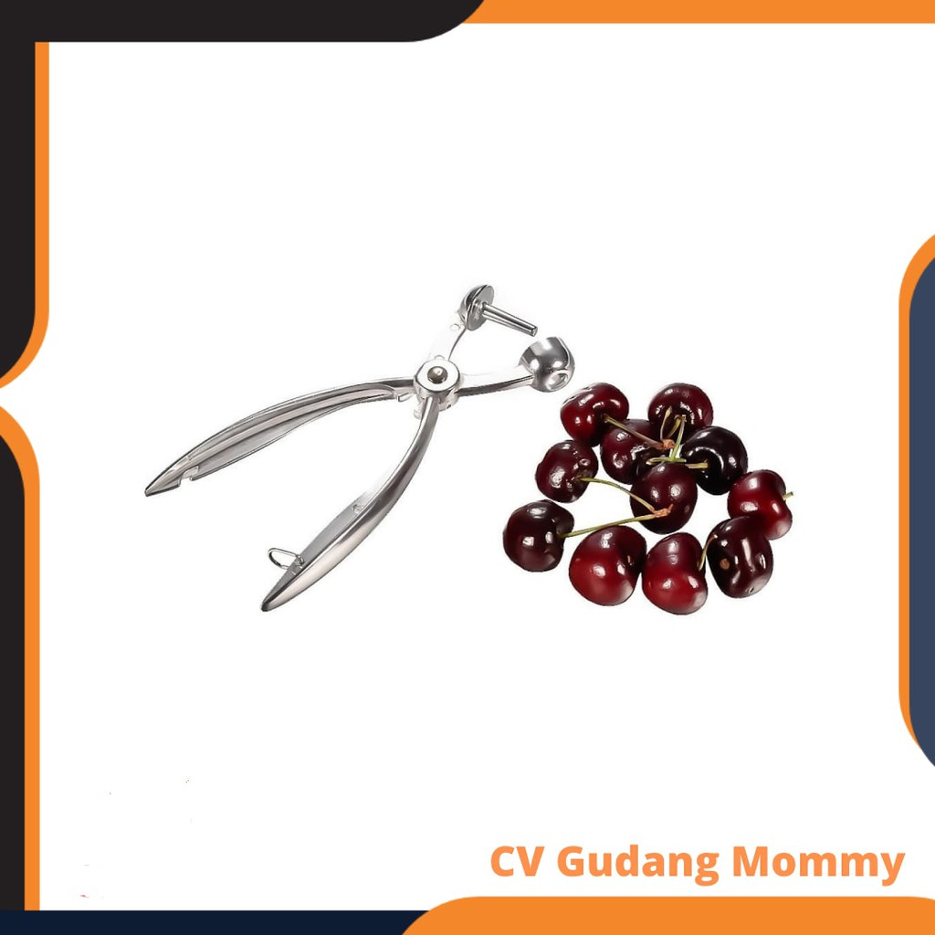 

Grosir Pembuang Biji Cherry dan Olive Aluminium