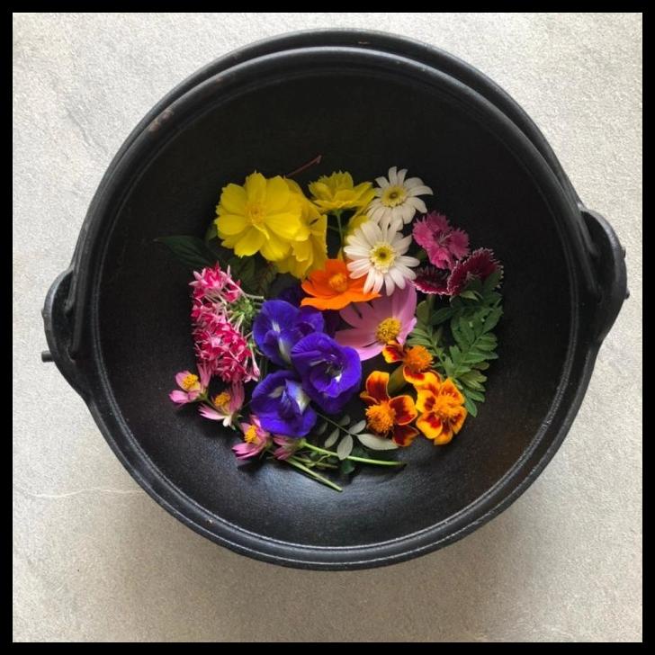 

TERBARUU!! Edible flower COD