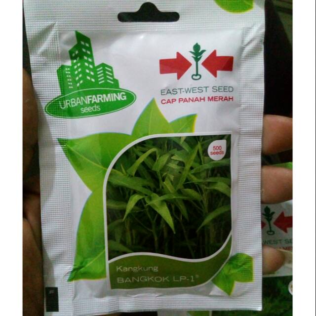 Benih kangkung bangkok cap panah merah