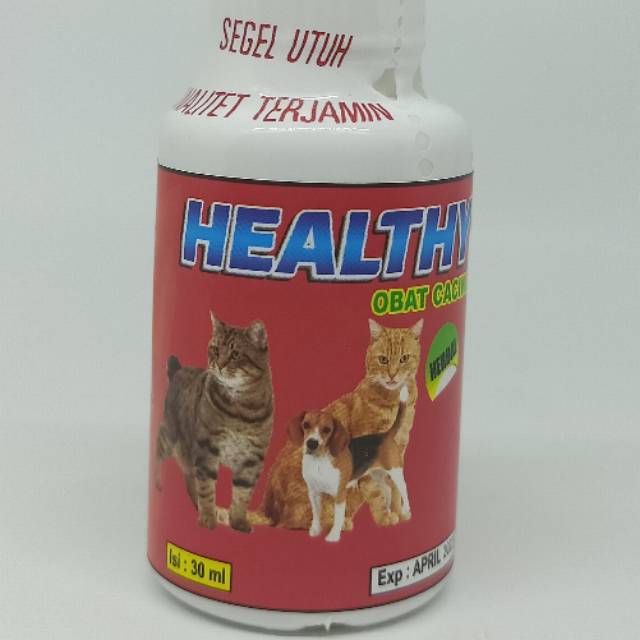 OBAT CACING CAIR UNTUK KUCING