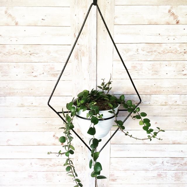 New Hanging planter pot  gantung  by Kenzbiz Shopee  