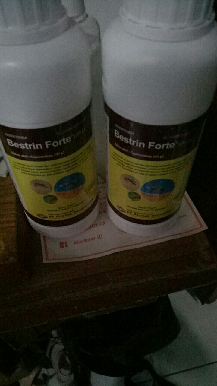 Obat Fogging Bestrin Forte 400 Ml Nyamuk Dbd Malaria Termurah Cairan Foging Terlaris Basmi Nyamuk