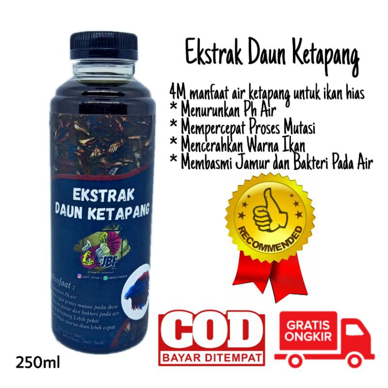 

Ekstrak Daun Ketapang Lebih Pekat 250ml Murah