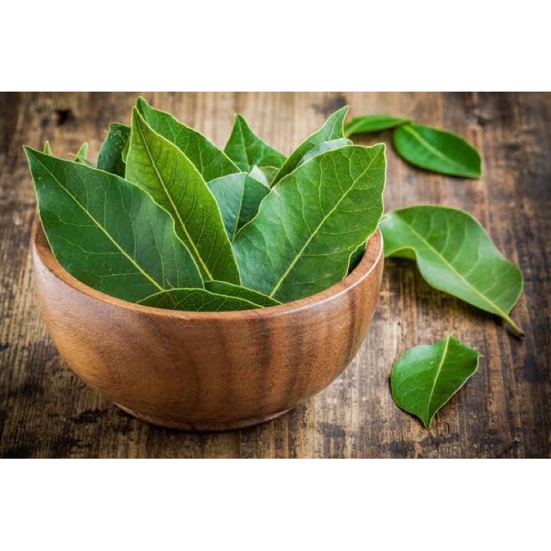 

Daun Salam Organik 100g
