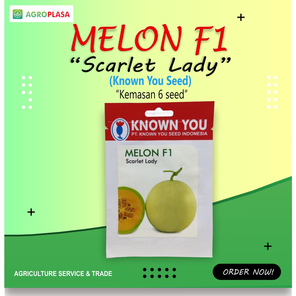 Benih Melon Scralet Lady Known You Seed