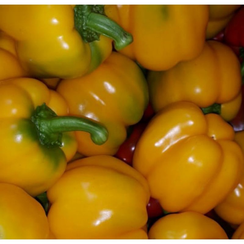 

Paprika Yellow 1kg