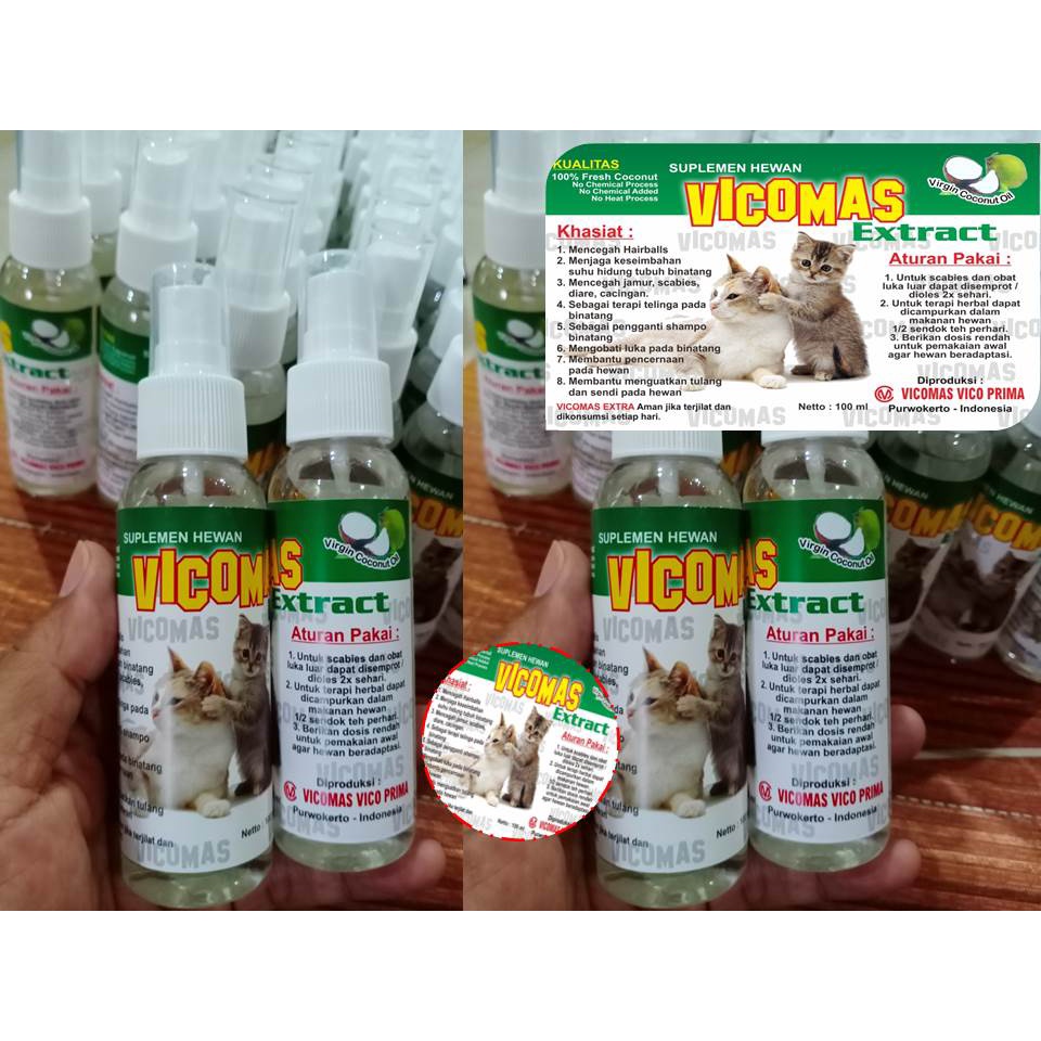Obat Kucing Lumpuh Kaki Belakang