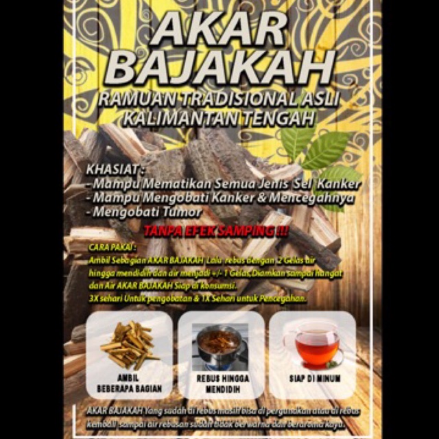 

Akar Bajakah Tunggal