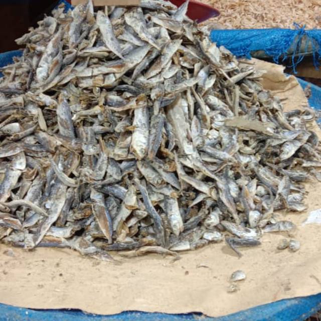 

Ikan teri Medan ukuran besar grade 3 (500 gram)