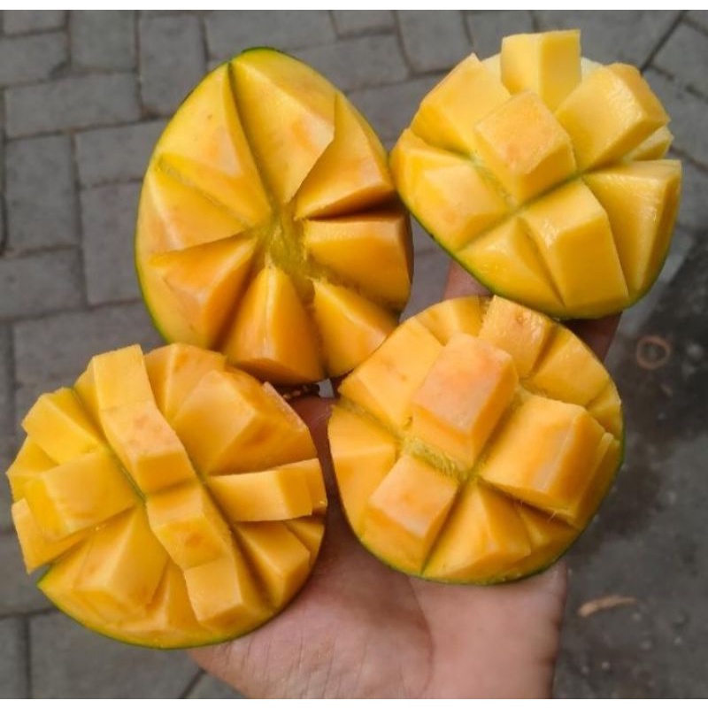 

mangga manalagi matang/tua 1 kg