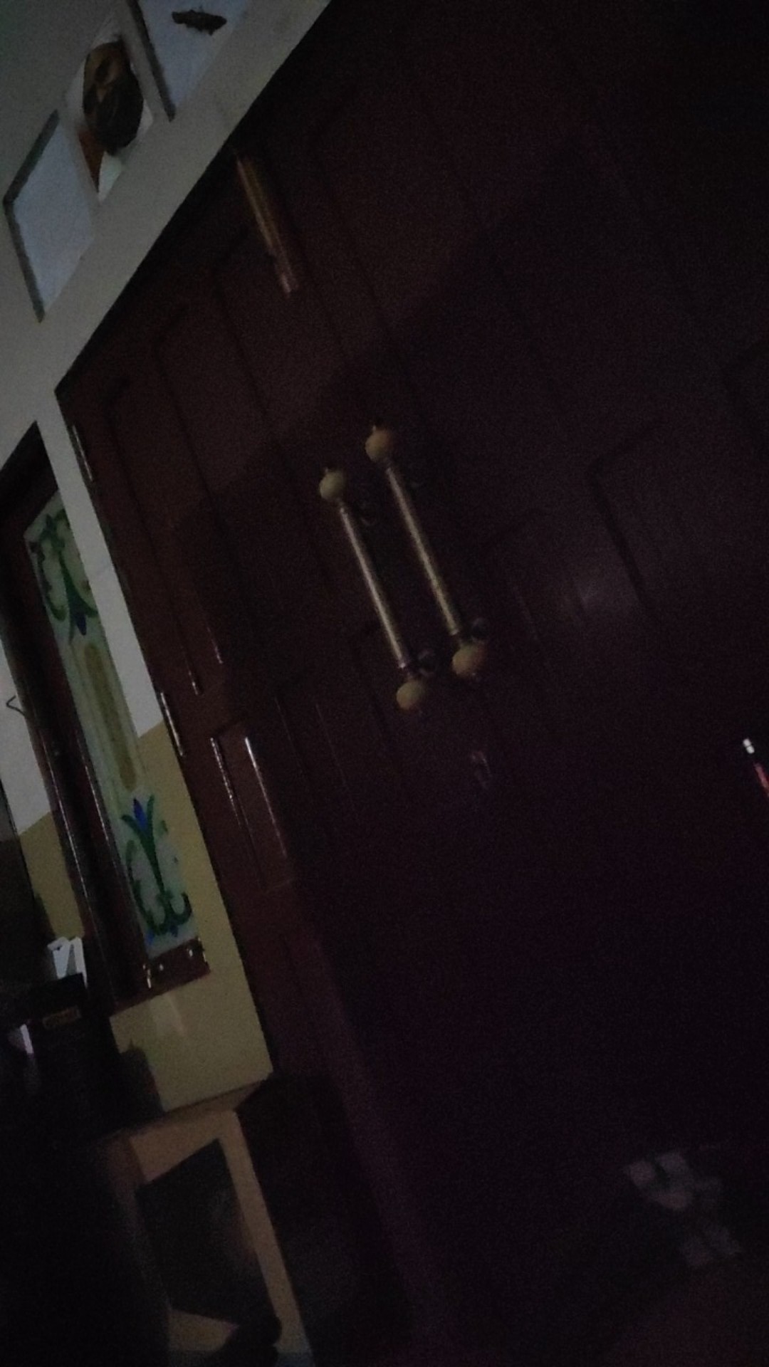 African Violces Bunga Blue Bicollor - Hebat Garden3