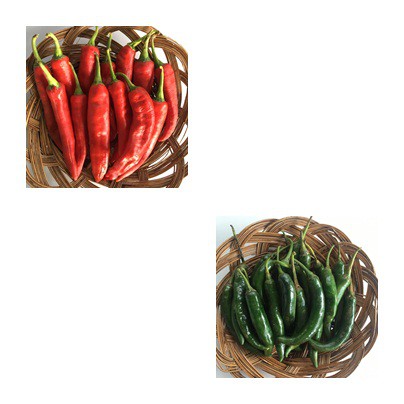 

Cabe Merah Tanjung dan Cabe Hijau