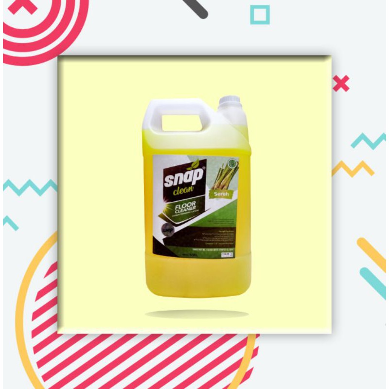 Snap Clean Floor Cleaner