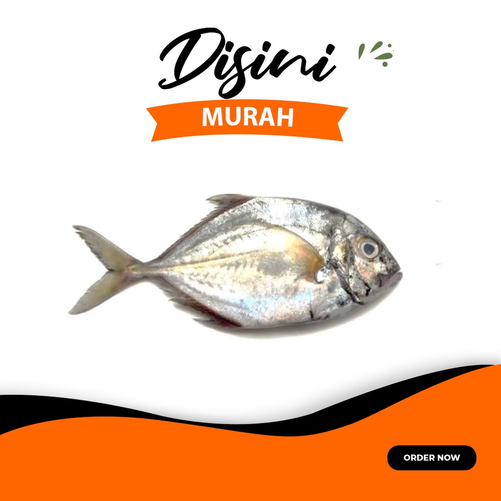

ikan kuwe segar per kg