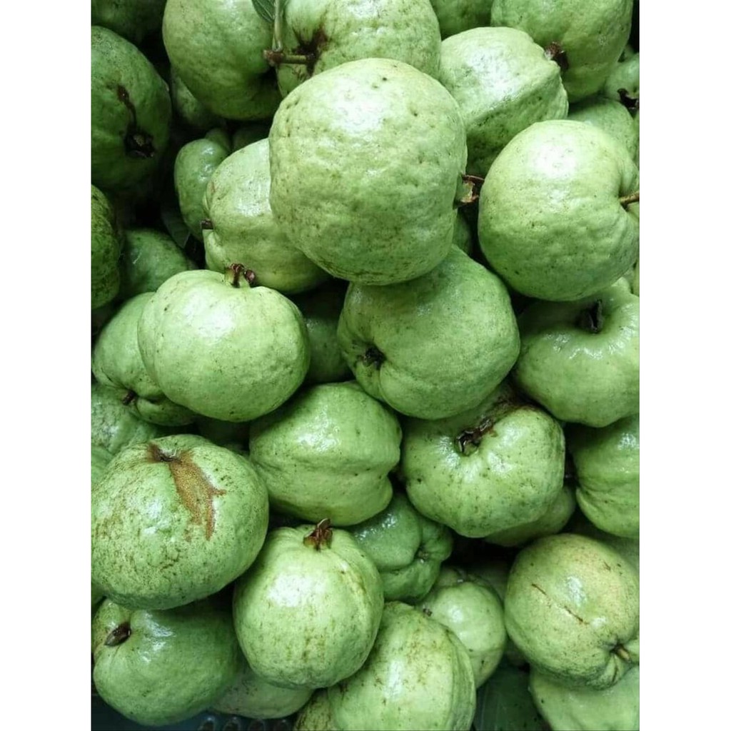 Jambu Kristal Buah Segar Bandung