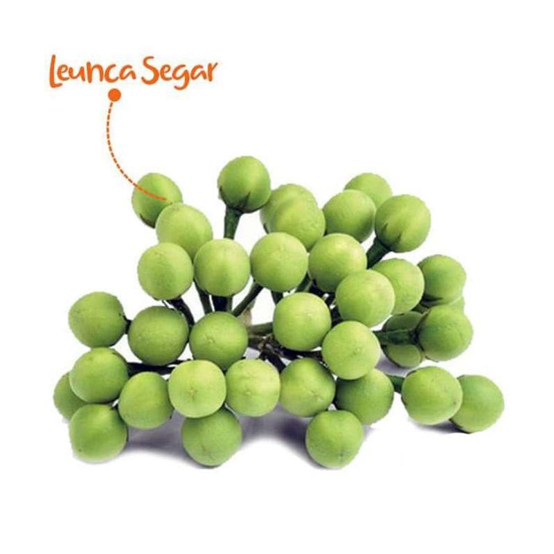 

Leunca Segar [250 gr]