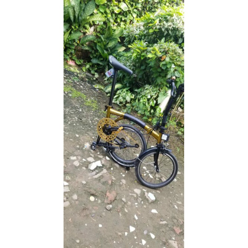 Element Pikes Gold Gen 1