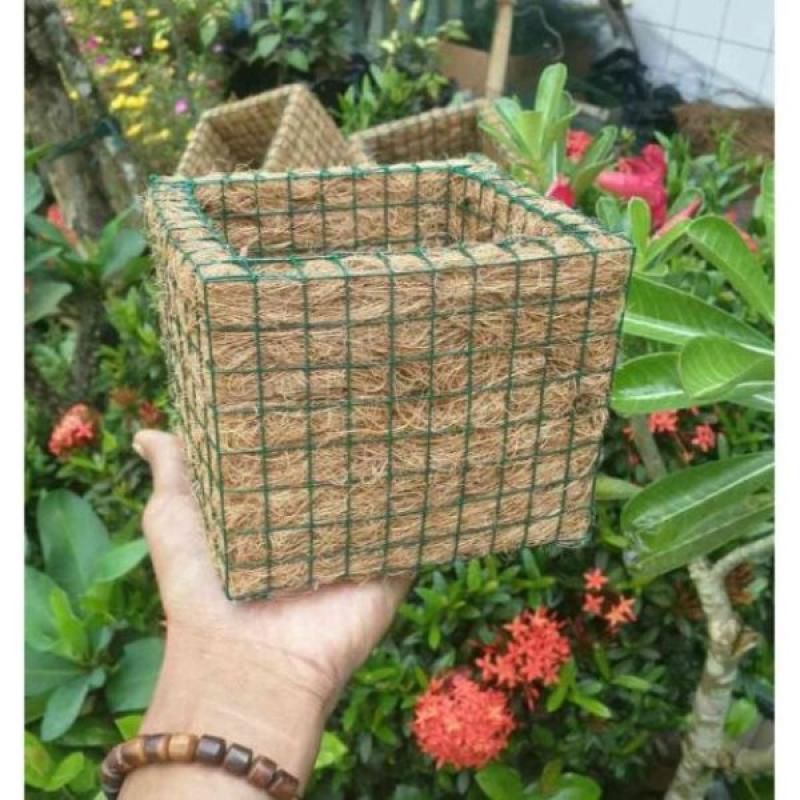 Pot Anggrek termurah berkualitas