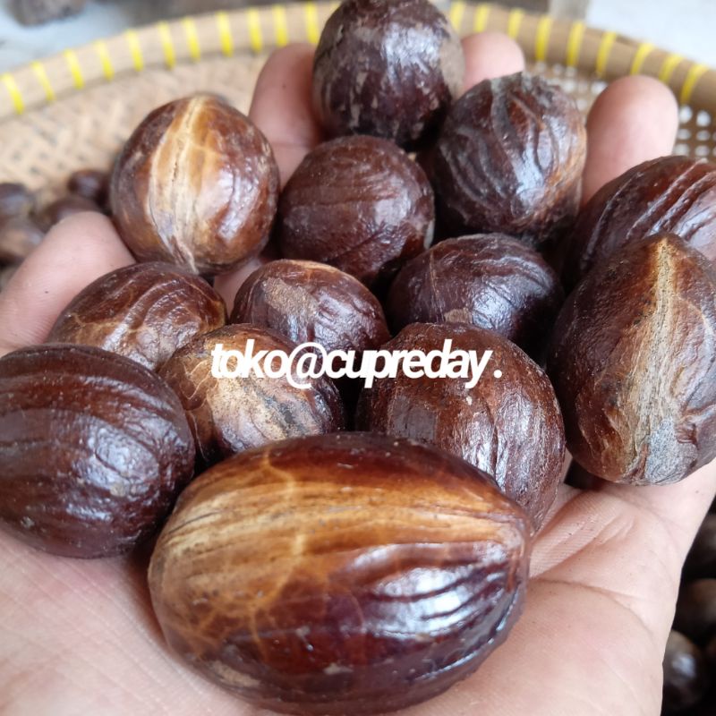 

BIJI PALA KERING 1 KG