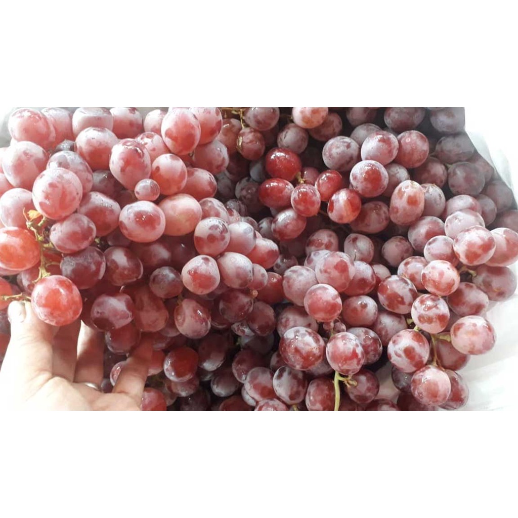 

Buah Anggur