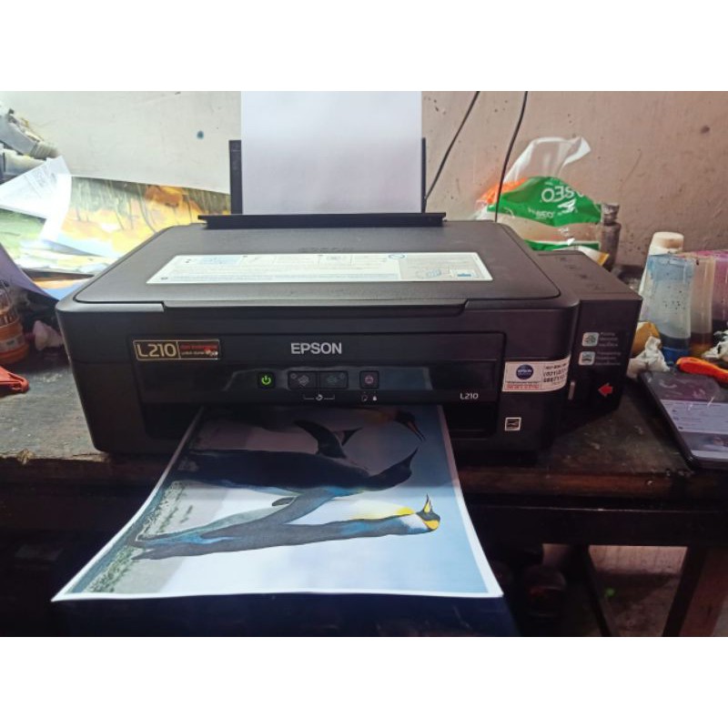 Printer Epson L210 second normal