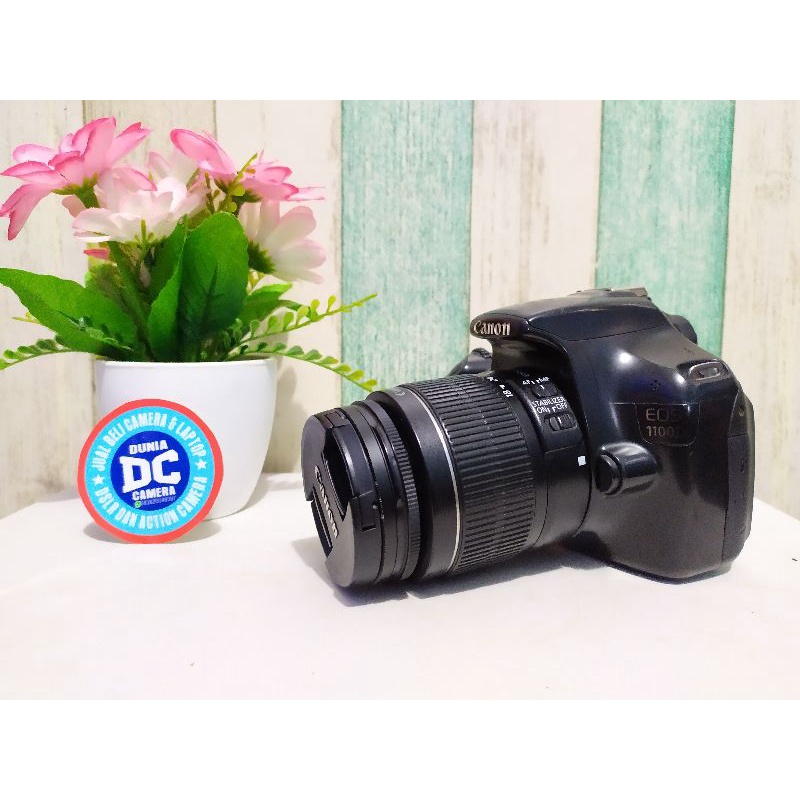 Canon 1100 d vignet tipis mulus