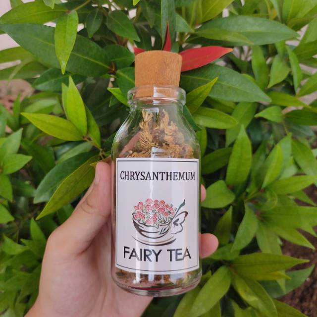 

Teh Bunga Krisantemum / Tea Bottle / Bunga Krisantemum / Krisantemum / Chrysanthemum Tea