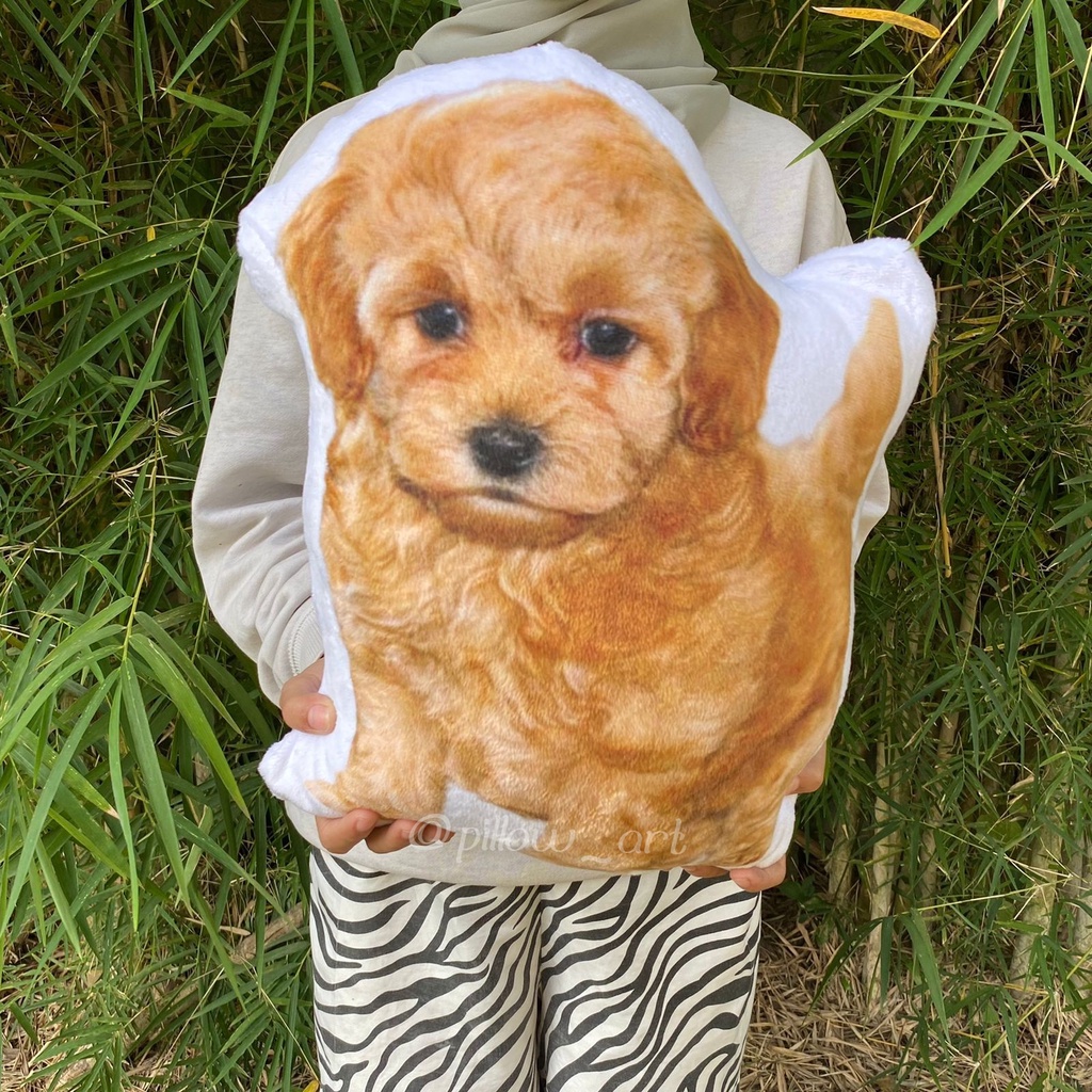 Pillowart - Bantal Boneka Anabul Custom / Kucing / Dogi Size M - ART112
