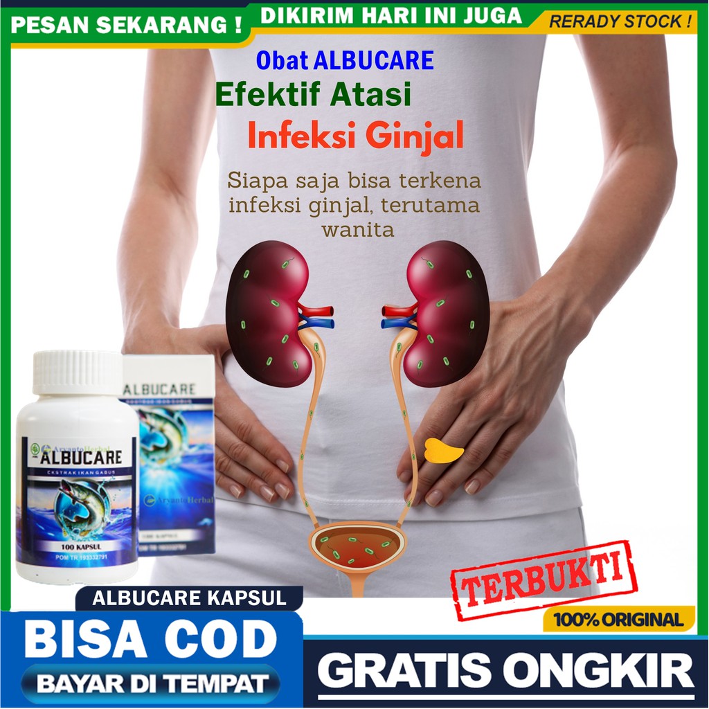 Obat Infeksi Ginjal Radang Ginjal Bengkak Ginjal Gagal Ginjal Herbal Ginjal Kotor ALBUCARE ASLI