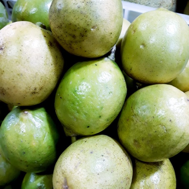 

Lemon lokal per kilo