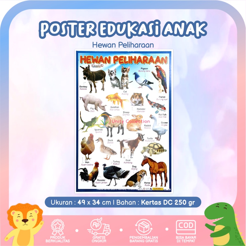 Poster Dinding Edukasi Anak Belajar Gambar Hewan Peliharaan