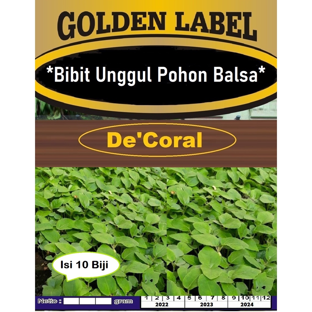 Bibit Unggul Pohon Balsa|Benih Pohon Balsa|Bibit Pohon Kayu Balsa| Benih Pohon Kayu Balsa