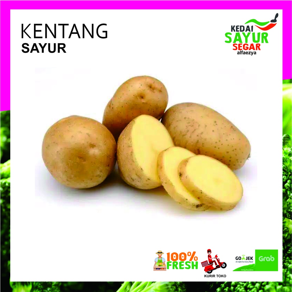 

Kentang Sayur Segar