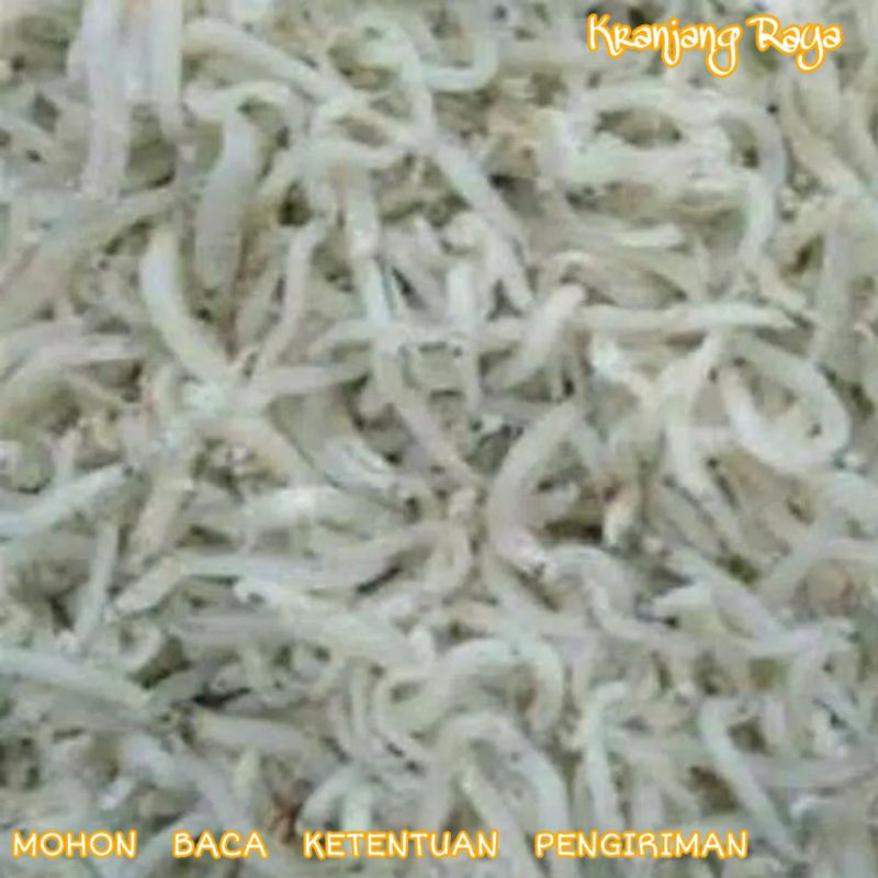 

Ikan Teri Medan