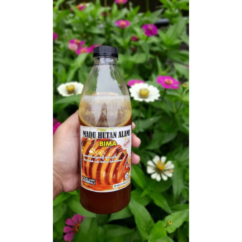 

Madu hutan Bima Sumbawa Asli
