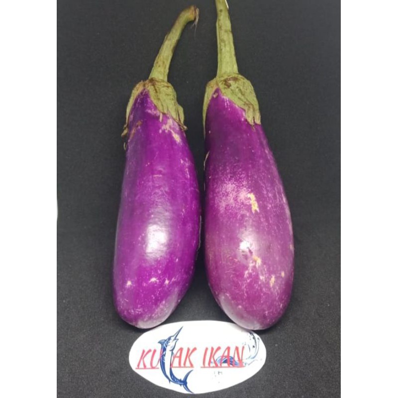 

TERONG UNGU - 500 gr