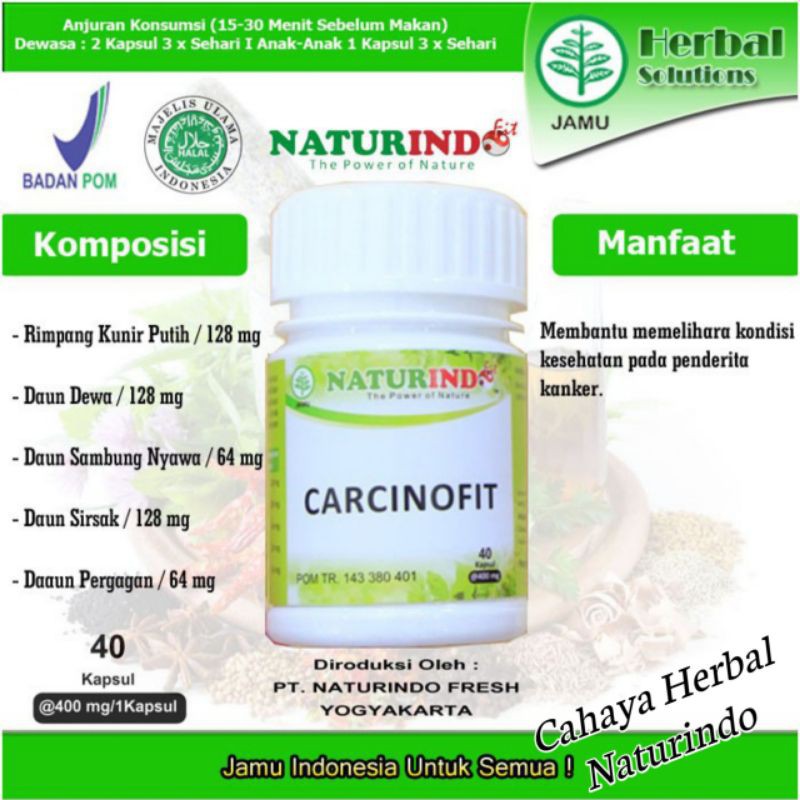 Obat Herbal Kanker Obat Kanker Herbal Obat Terapi Penyembuhan Kanker Carcinofit Naturindo-1