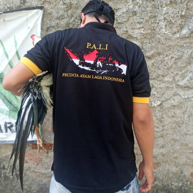 Kaos pecinta ayam laga indonesia