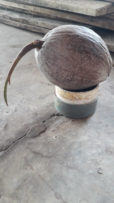 Overval Plat Warna Kunci 3 Inch ( 8 Cm ) / Cantolan Gembok / Kait Gembok