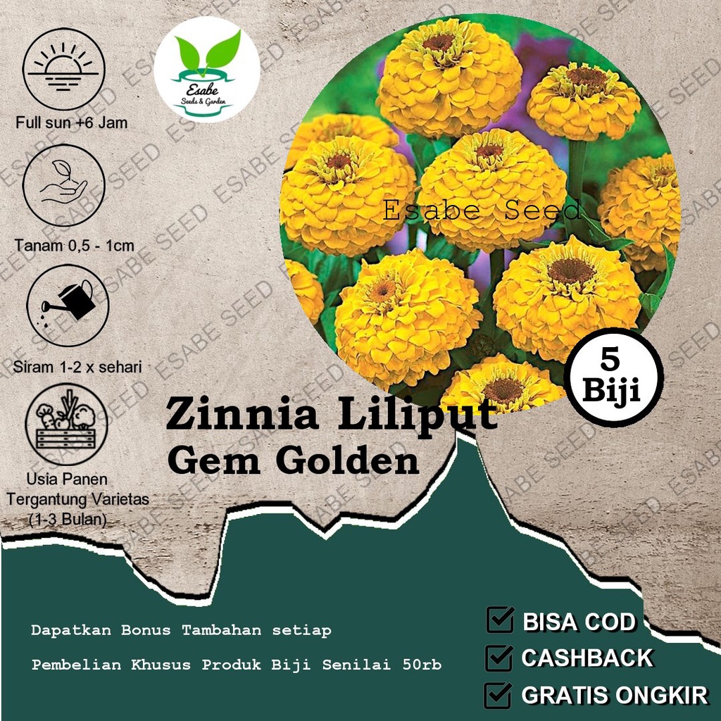 Benih Bibit Zinnia Liliput Gem Golden